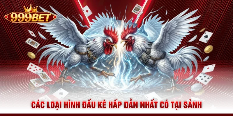 Các loại hình đấu kê hấp dẫn nhất có tại sảnh