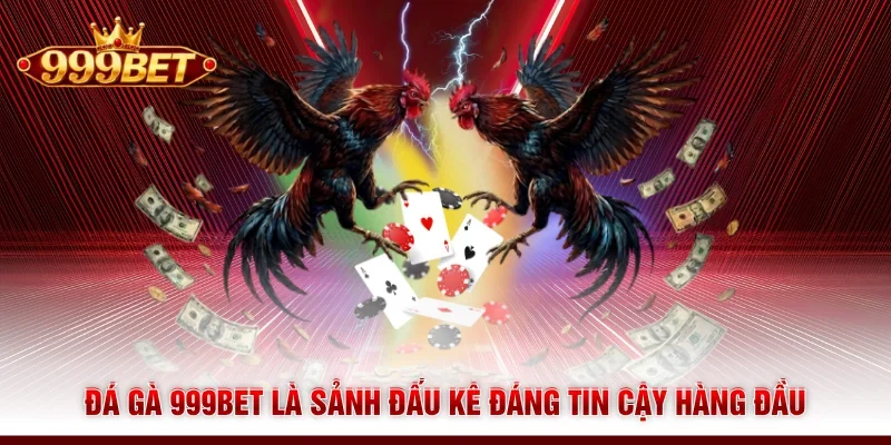 Đá gà 999BET là sảnh đấu kê đáng tin cậy hàng đầu