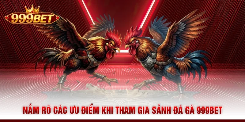 Nắm rõ các ưu điểm khi tham gia sảnh đá gà 999BET