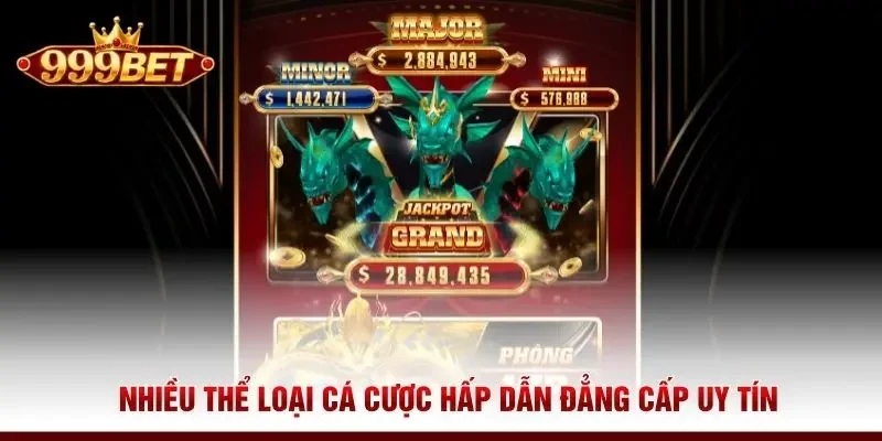 Nhiều thể loại cá cược hấp dẫn đẳng cấp uy tín